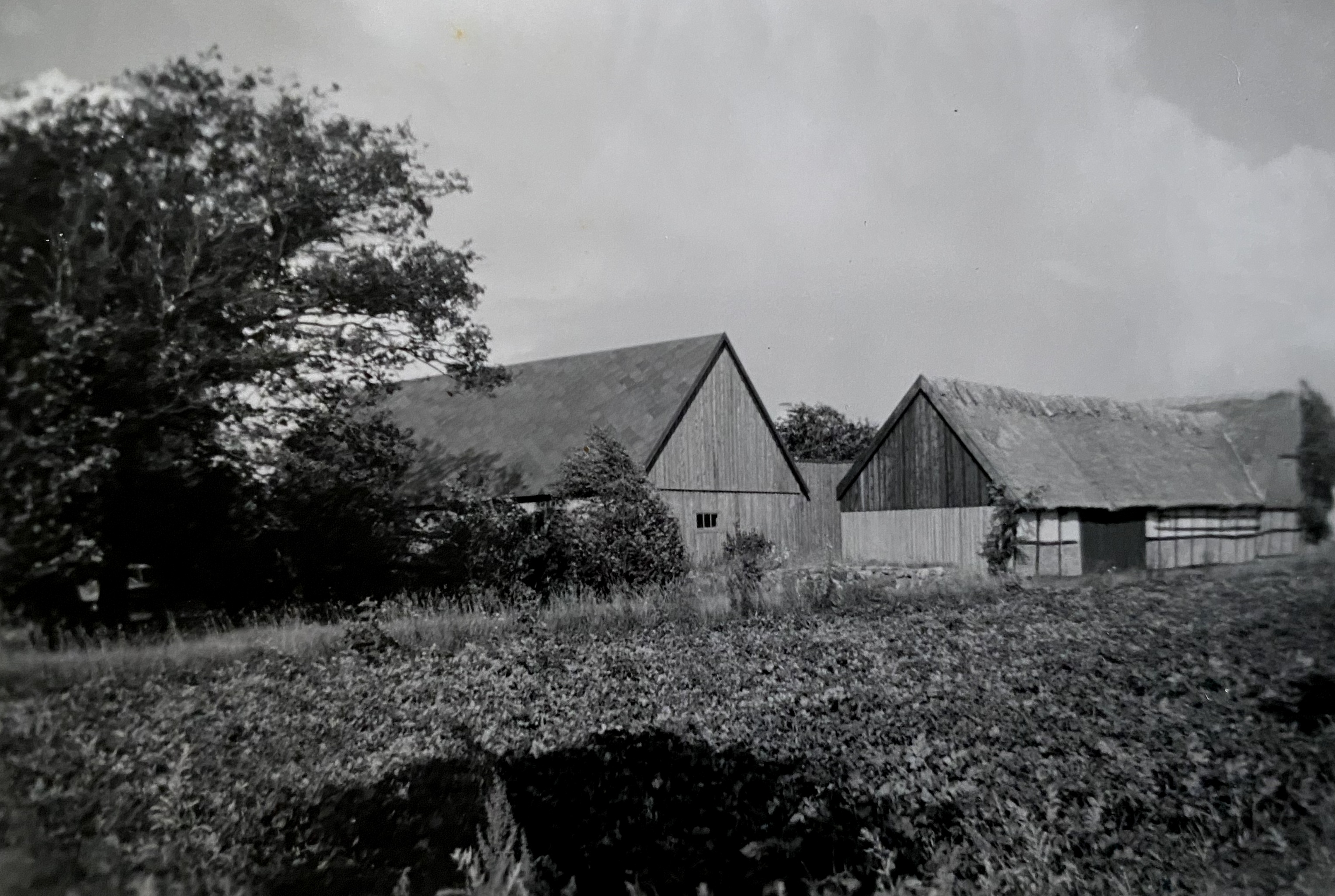 Gården från söder 1960