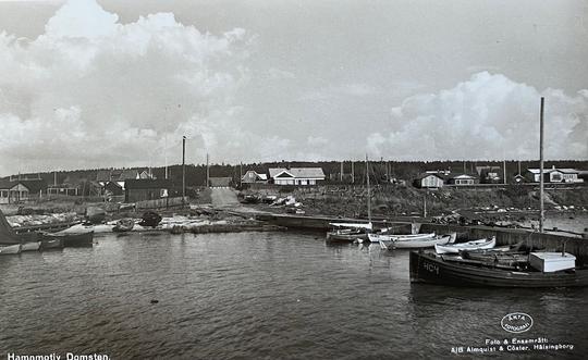 Vy från Domstens hamn.