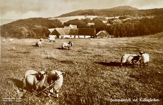 Sommaridyll vid Kullagården