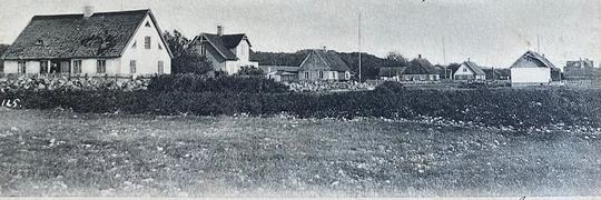 Domsten. Fotografiet taget på 1920-talet.