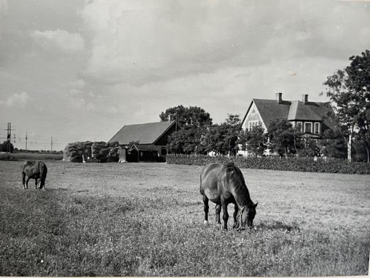 Mandelgrensgården 1947
