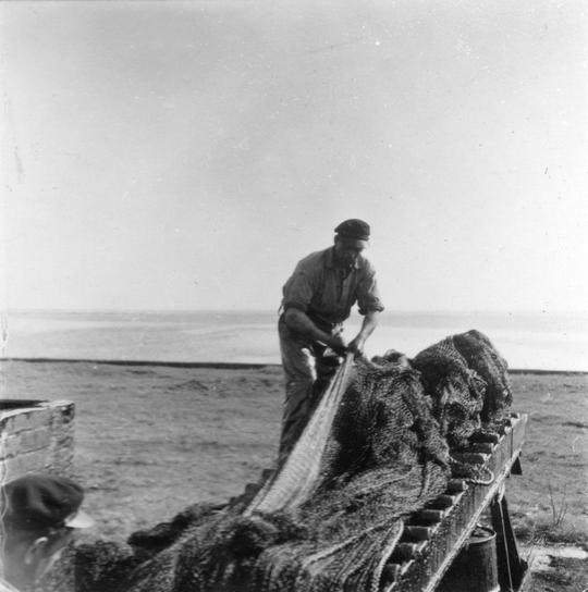 Fiskare med nät 1951