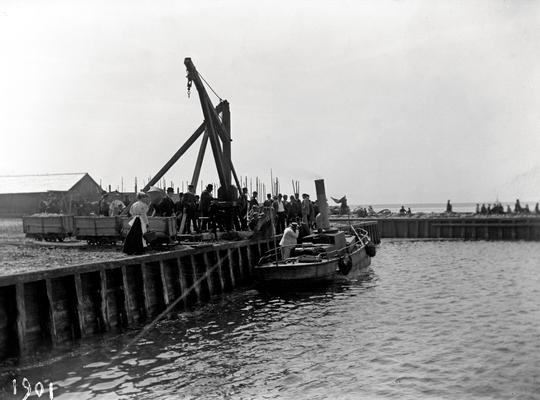 Mölle Hamnen 1901