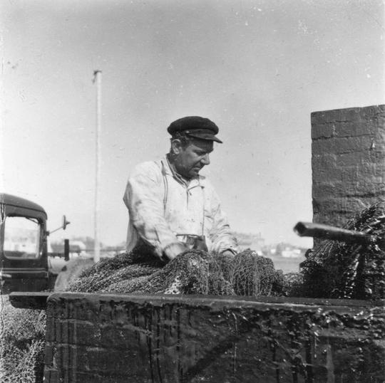Fiskare med nät 1951